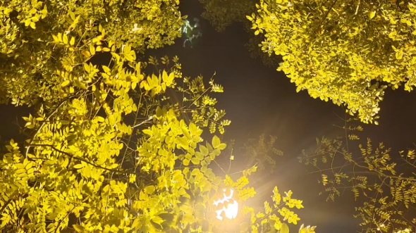 写给儿子刘云帆(刘年)_哔哩哔哩_bilibili