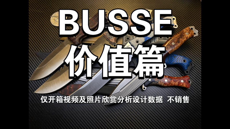 [图]一个视频顶得上玩BUSSE十几年，没人能看到最后。仅开箱视频及照片欣赏分析设计数据 不销售