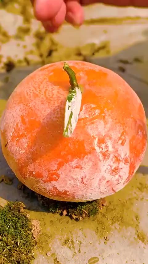 让大家见识一下爆汁脏脏橘一斤要10几块切开之后甜到流口水