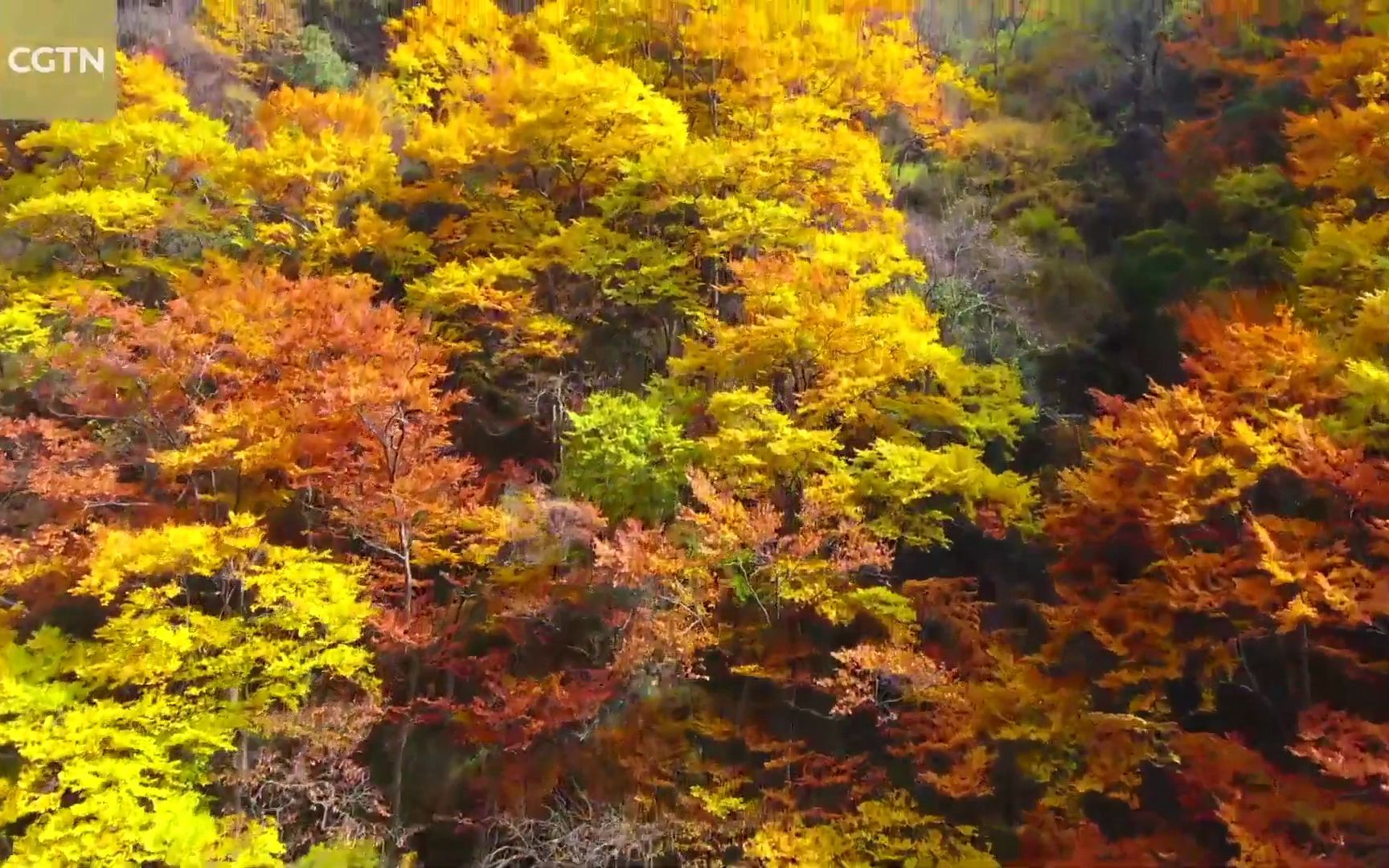 [图]神农架国家公园 Shennongjia national park