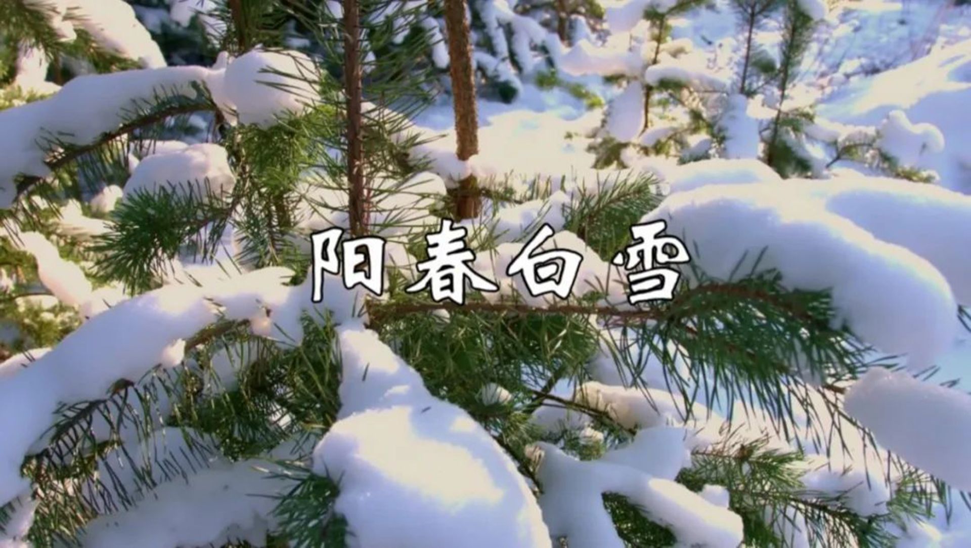 琵琶纯音乐《阳春白雪》,中国十大古典名曲,节奏轻松明快哔哩哔哩bilibili