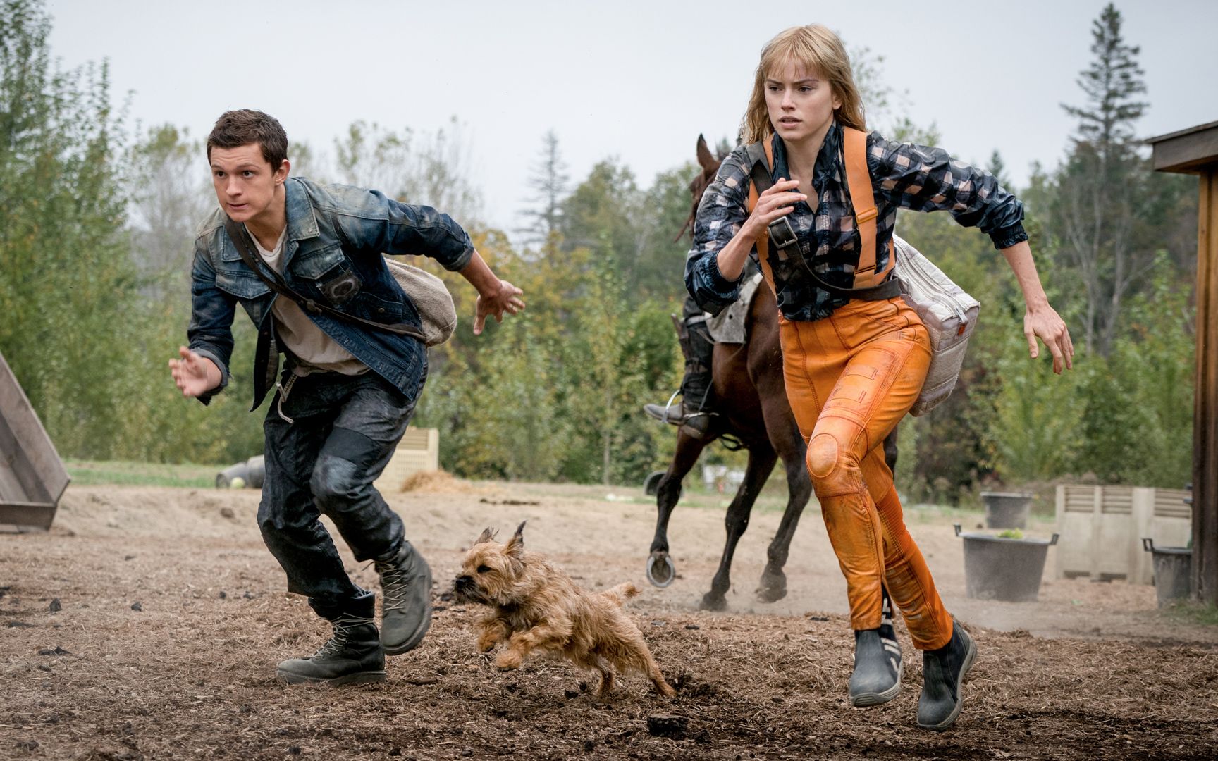 中字《混沌漫步》预告片 如影随形的噪音