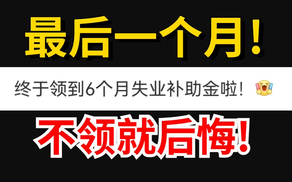 手把手教你领取失业补助金,主动辞职也能领,只剩最后一个月!哔哩哔哩bilibili