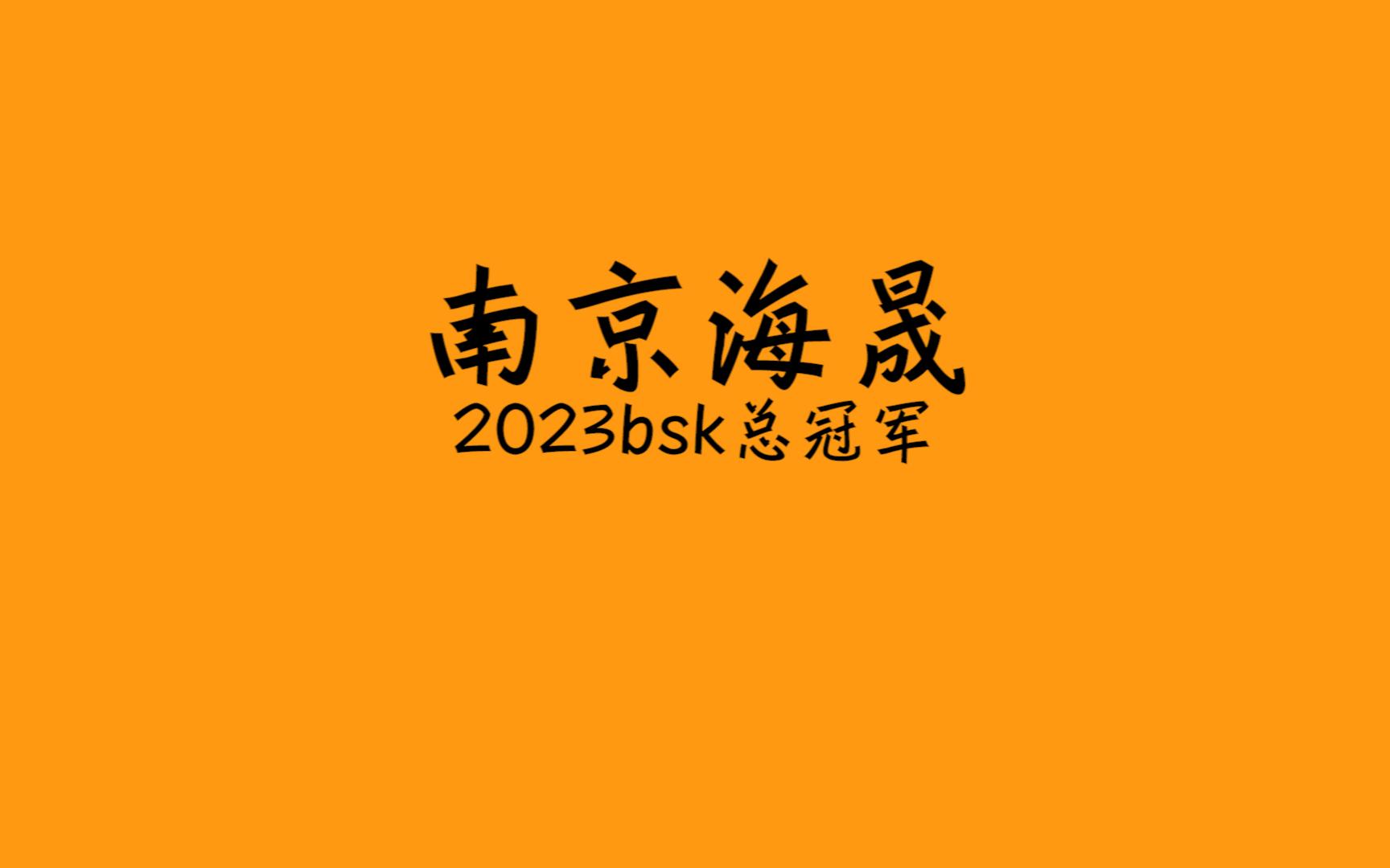 南京海晟男篮2.5比0.5战胜山羊永通成功夺得2023年bsk全国总冠军!哔哩哔哩bilibili