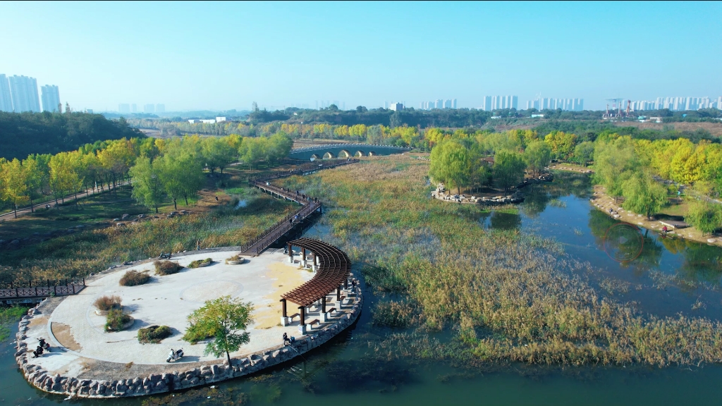 郑州贾鲁河公园芦苇荡漾,秋意盎然,吸引众多游客前来,栈道上游玩.哔哩哔哩bilibili