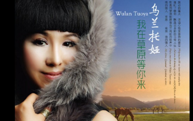 我在草原等你来专辑