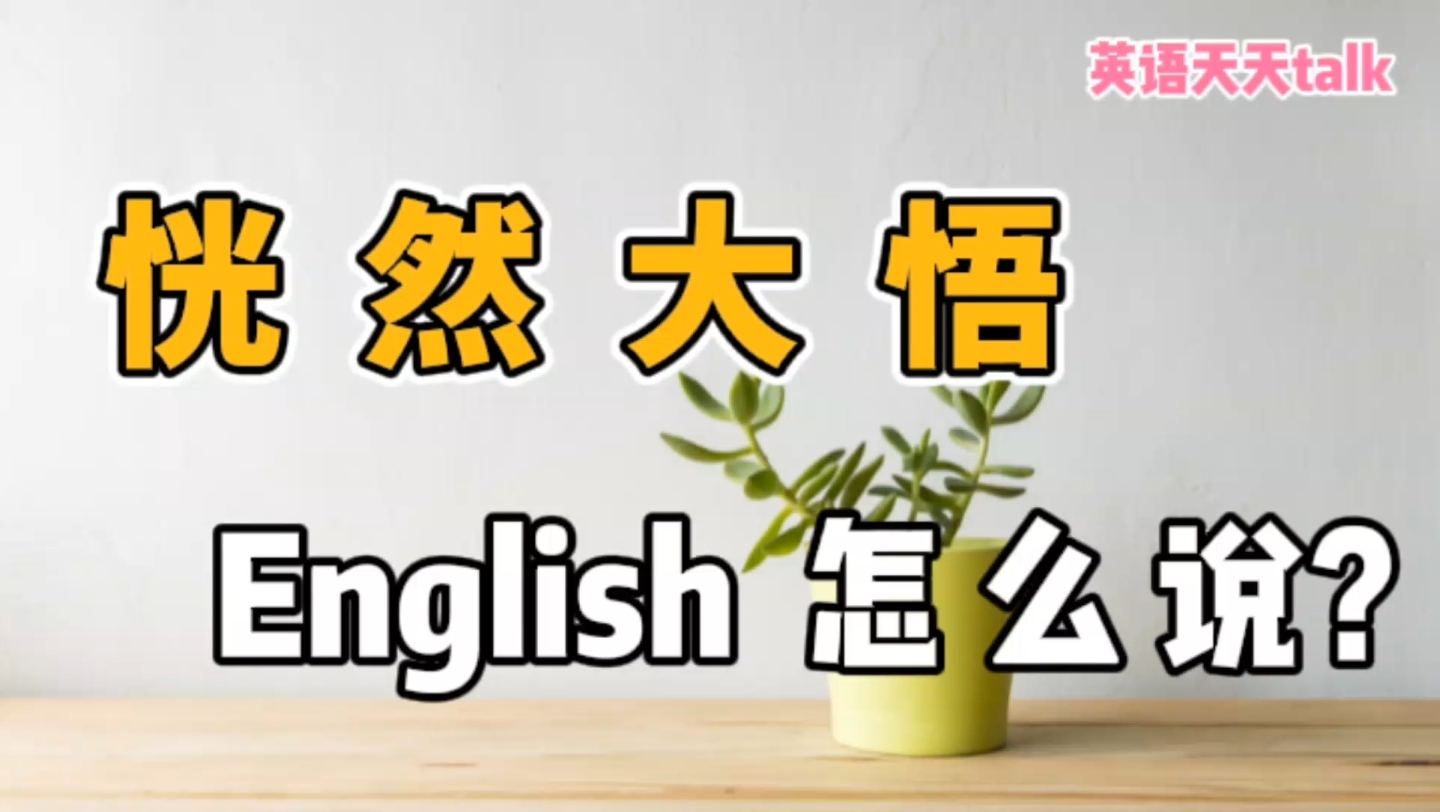 “突然明白了,恍然大悟了”,英语中老外不说 “I know”,会说什么呢?哔哩哔哩bilibili