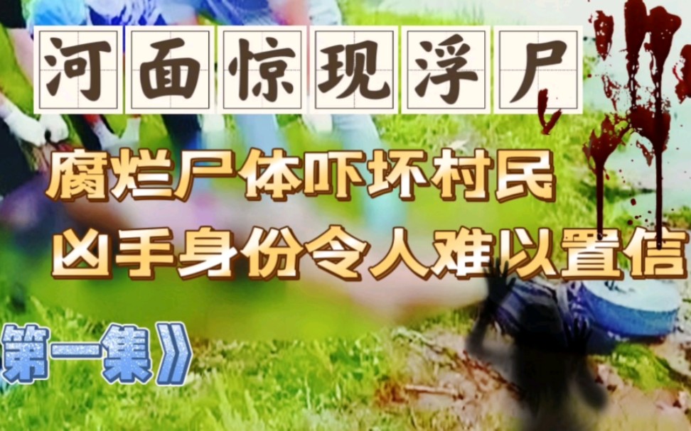 河面惊现浮尸、腐烂尸体吓坏村民、凶手身份令人难以置信哔哩哔哩bilibili