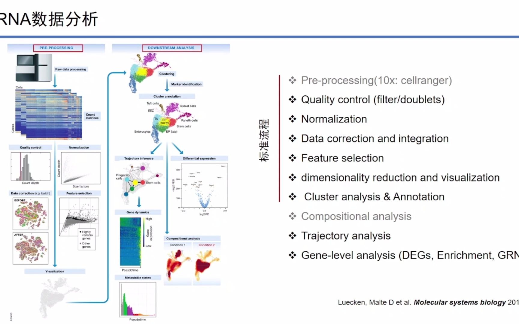 2022最新单细胞转录组(scRNAseq)全流程分析最佳实践哔哩哔哩bilibili