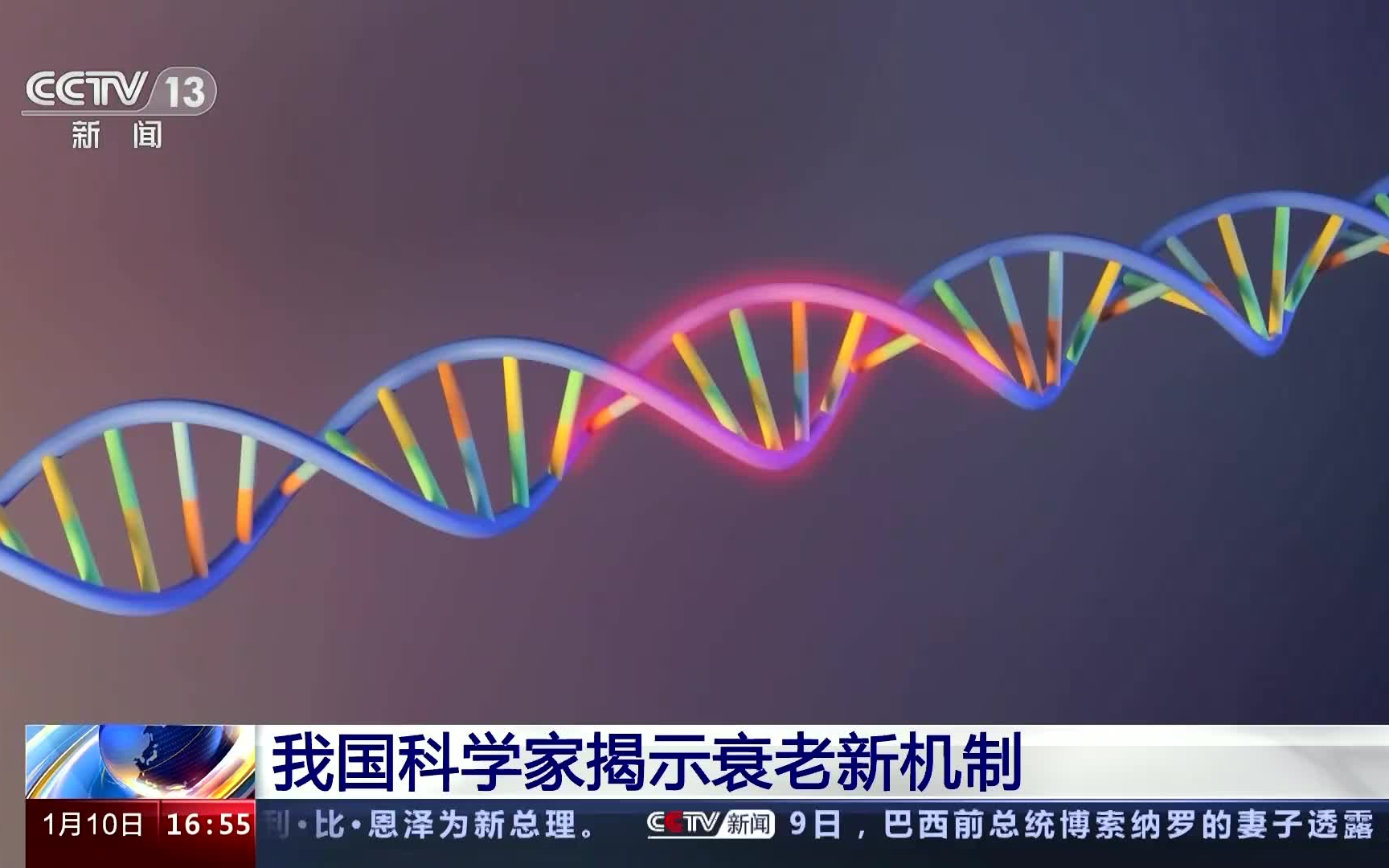 【Cell】我国科学家揭示衰老新机制央视播出,中科院动物所出品,中科幻彩动画制作哔哩哔哩bilibili