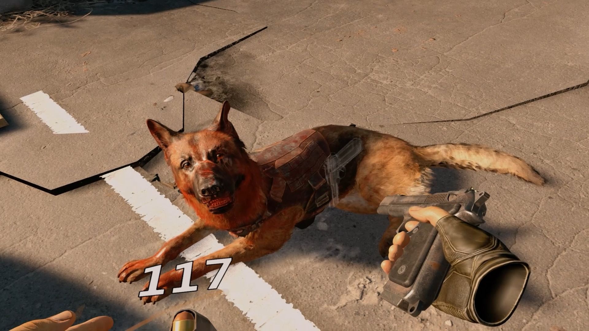 亚利桑那阳光2-收获一只修狗,想起辐射4的狗肉了