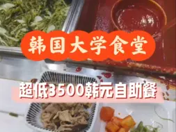 Download Video: 【全网超低】韩国大学食堂3500块自助午餐长啥样8