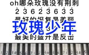 Download Video: 《玫瑰少年》适合初学者的钢琴简谱，零基础学钢琴，成人学钢琴，钢琴教学。