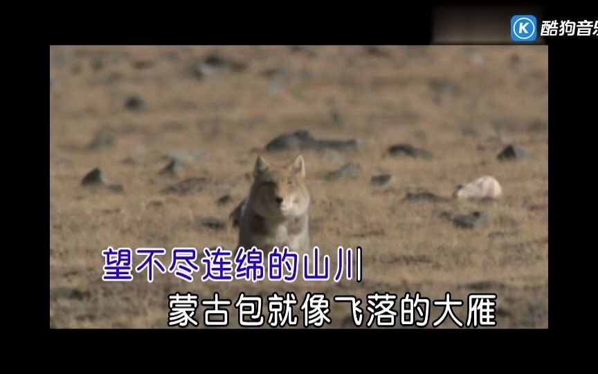 降央卓玛  蓝色的蒙古高原 KTV版 高清MV哔哩哔哩bilibili