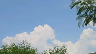 这天有点灰