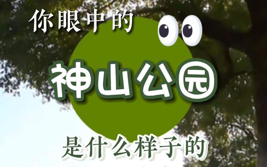 你眼中的神山公园,是什么样子的?哔哩哔哩bilibili