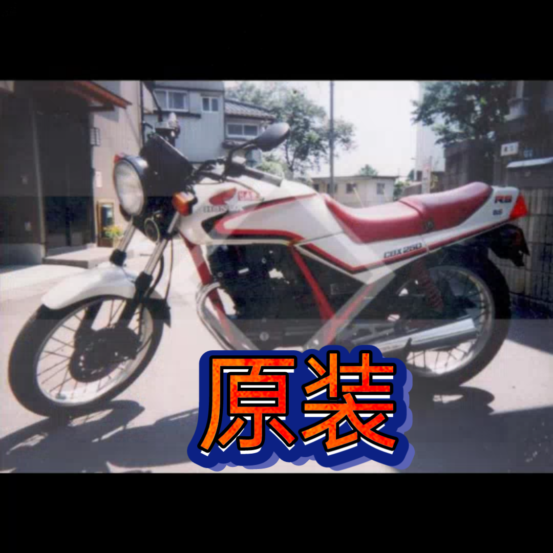 我以前的作品,1981年生产cbx250rs变身过程哔哩哔哩bilibili