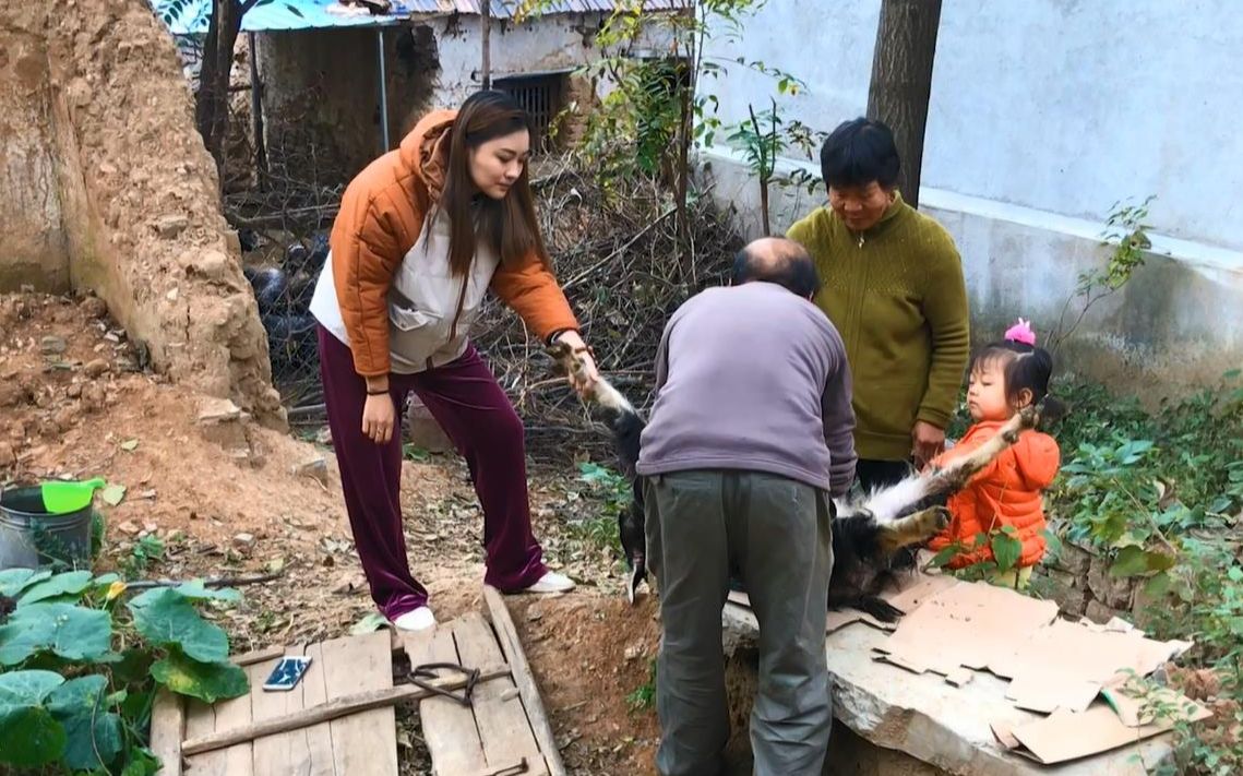 实拍农村杀羊,大哥动作干脆利落,轻轻松松半小时完成杀羊全过程