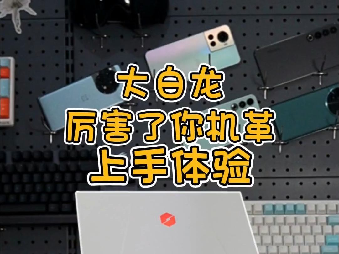 厉害了你机革,大白龙实测,机械革命蛟龙16PRO!哔哩哔哩bilibili