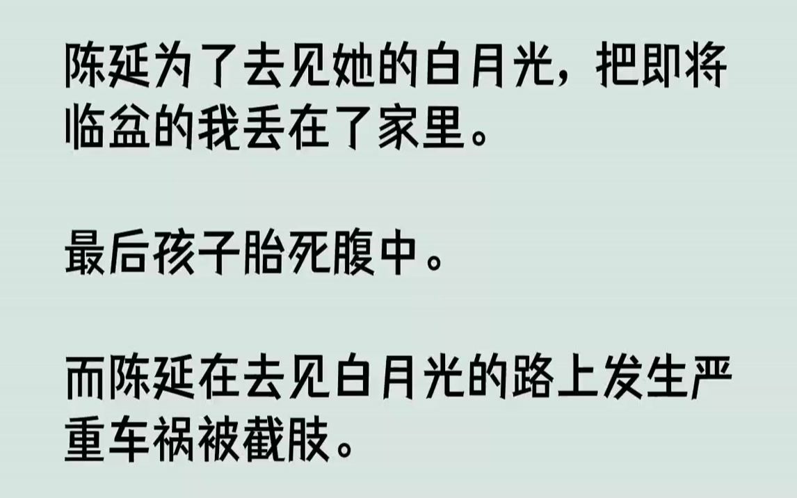 【完结文】陈延为了去见她的白月光,把即将临盆的我丢在了家里.最后孩子胎死腹中.而陈延在去见白月光的路上发生严重车祸被截肢....哔哩哔哩bilibili