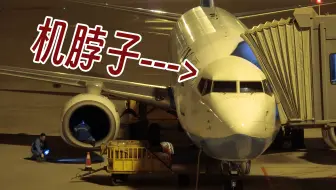 【厦门航空】有脖子的飞机？