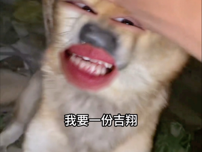 《游厕》