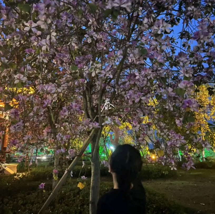 [图]偷得浮生半日闲 #春天里的浪漫鲜花占一半