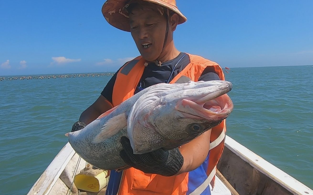 阿阳出海捉到梦寐以求的大鱼,到市场引来粉丝驻足拍照,阿阳脸上笑开了花哔哩哔哩bilibili