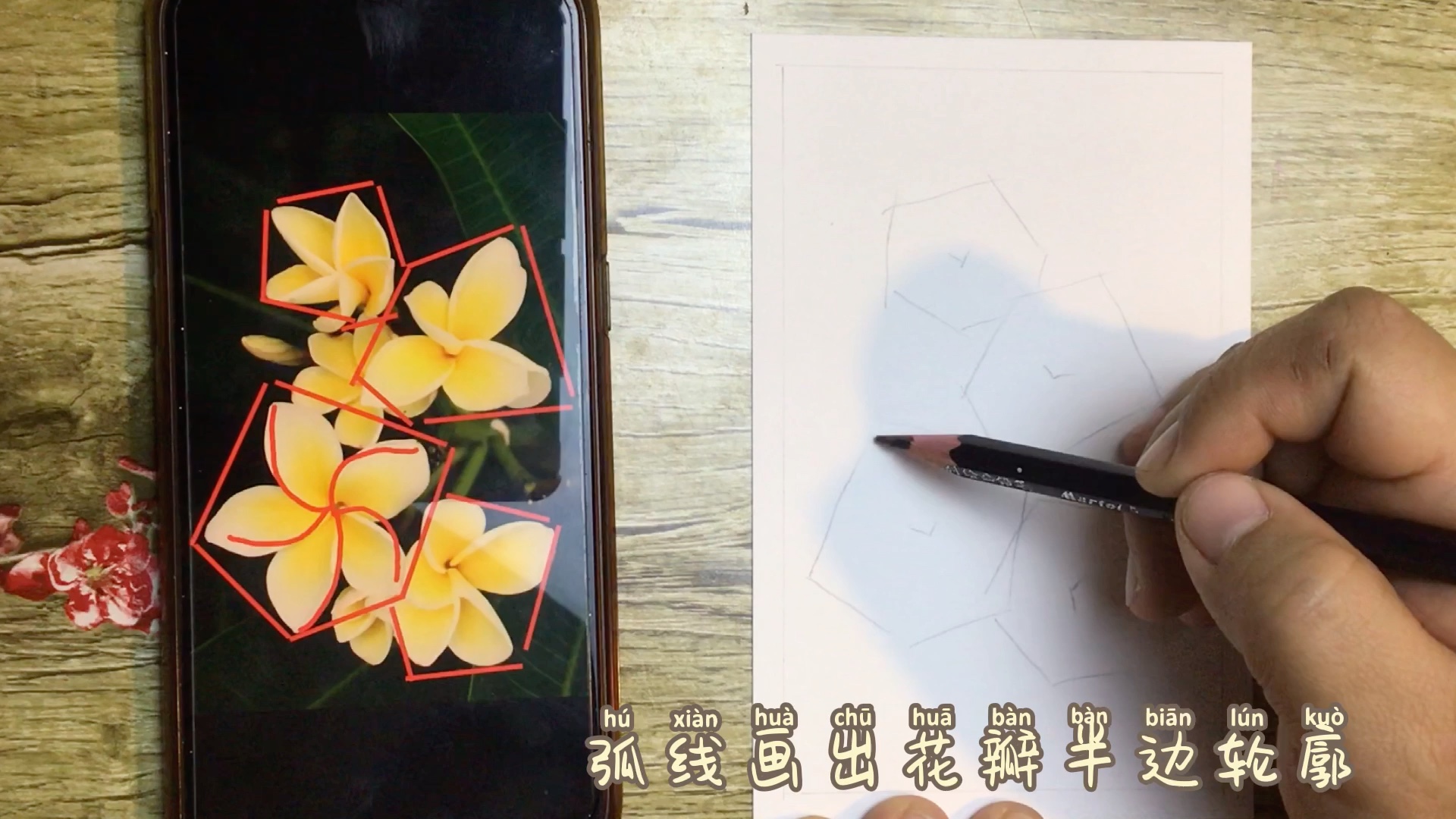 [图]手绘 这样画鸡蛋花简单易学