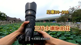 下载视频: 尼康的80-200mm三代小钢炮，用它拍荷花，看看咋样