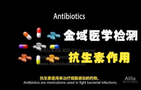 【金域医学科普小知识】抗生素作用机制了解过吗?哔哩哔哩bilibili