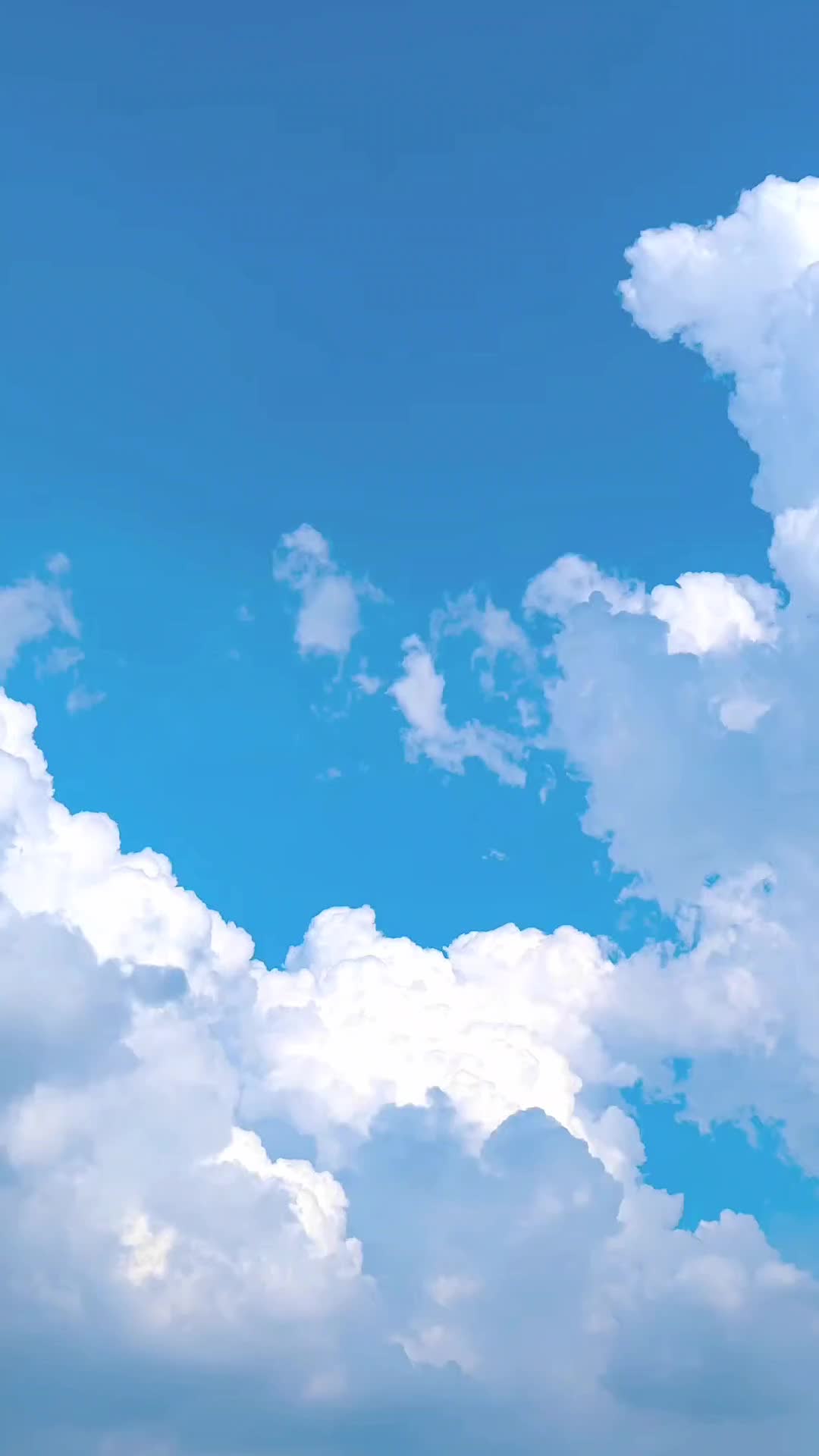 72今天也要治愈!感谢您今天观看我的视频