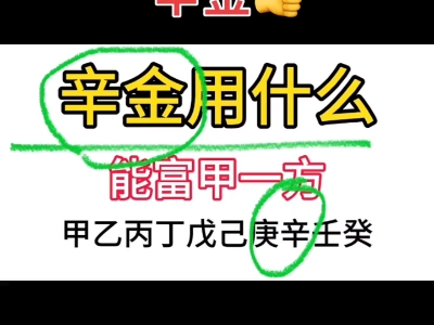 辛金用什么,能富甲一方哔哩哔哩bilibili