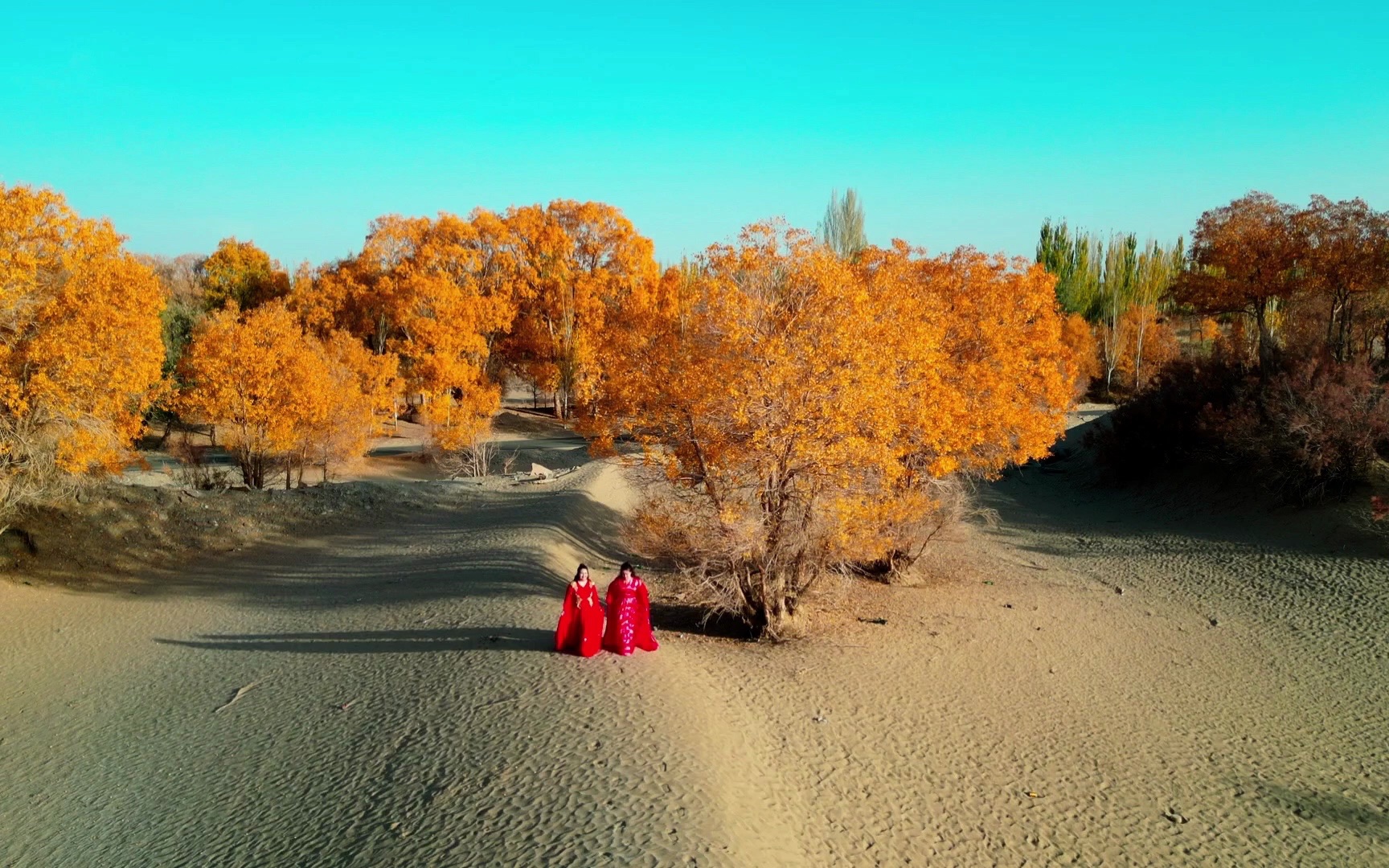 新疆和田策勒县胡杨林