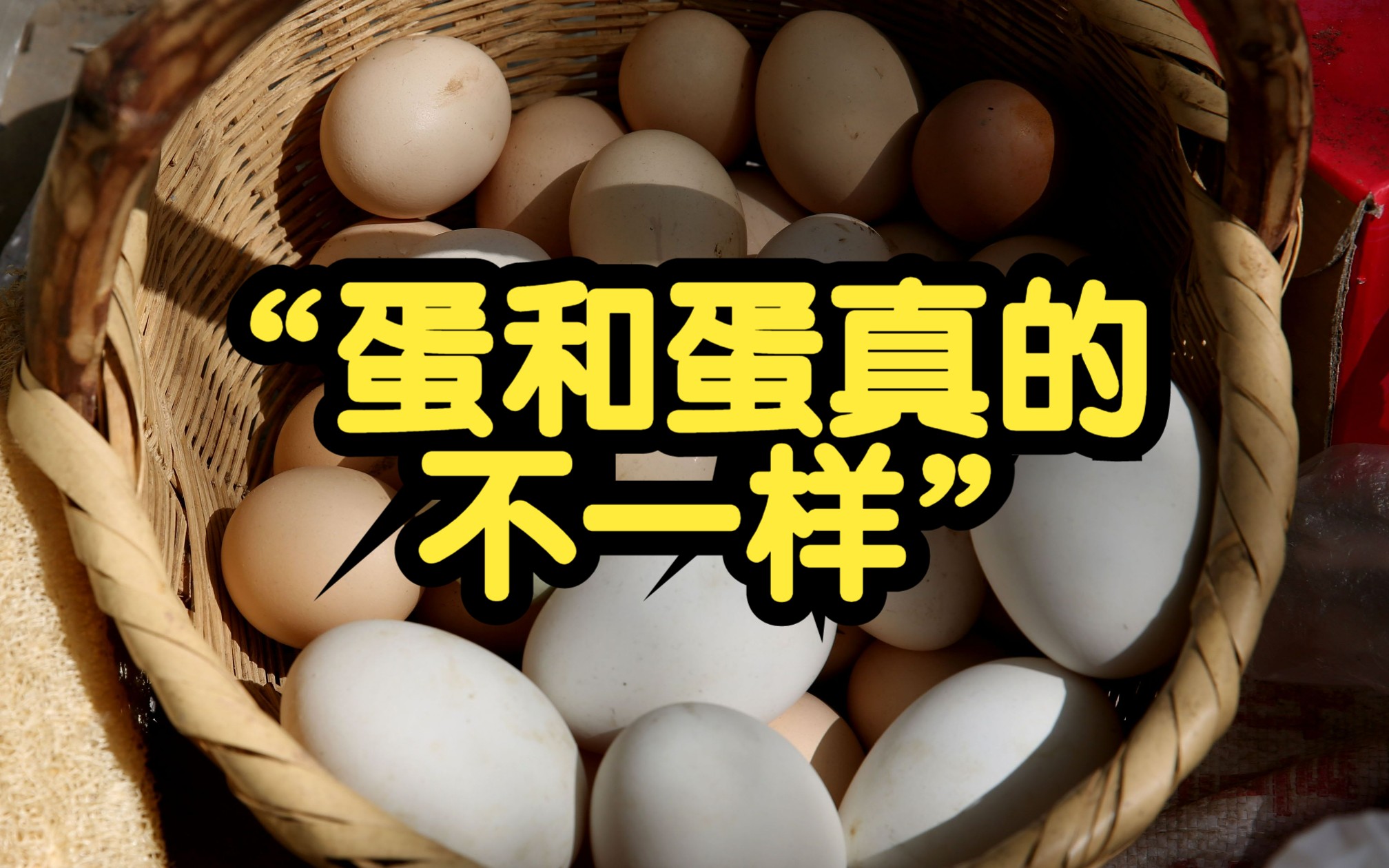 缺鸡蛋,吃鸭蛋?民进党“立委”遭轰:蛋和蛋真的不一样哔哩哔哩bilibili