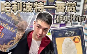 Download Video: 欧到不顾店主死活！1000元挑战哈利波特一番赏！