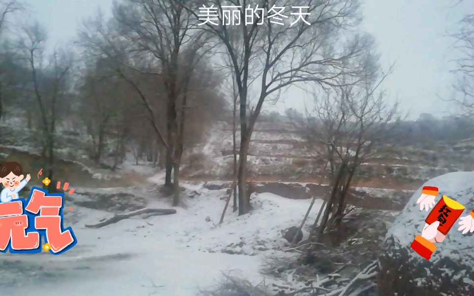 没有雪的冬天不是完美的冬天!哔哩哔哩bilibili