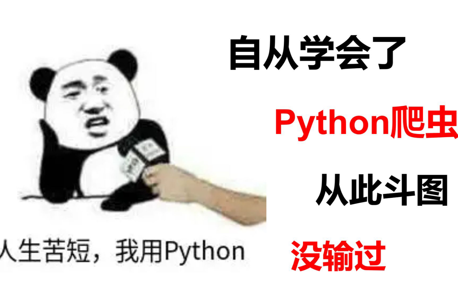 Python爬虫案例,一键爬取逗图网站,从此斗图不再怂!哔哩哔哩bilibili