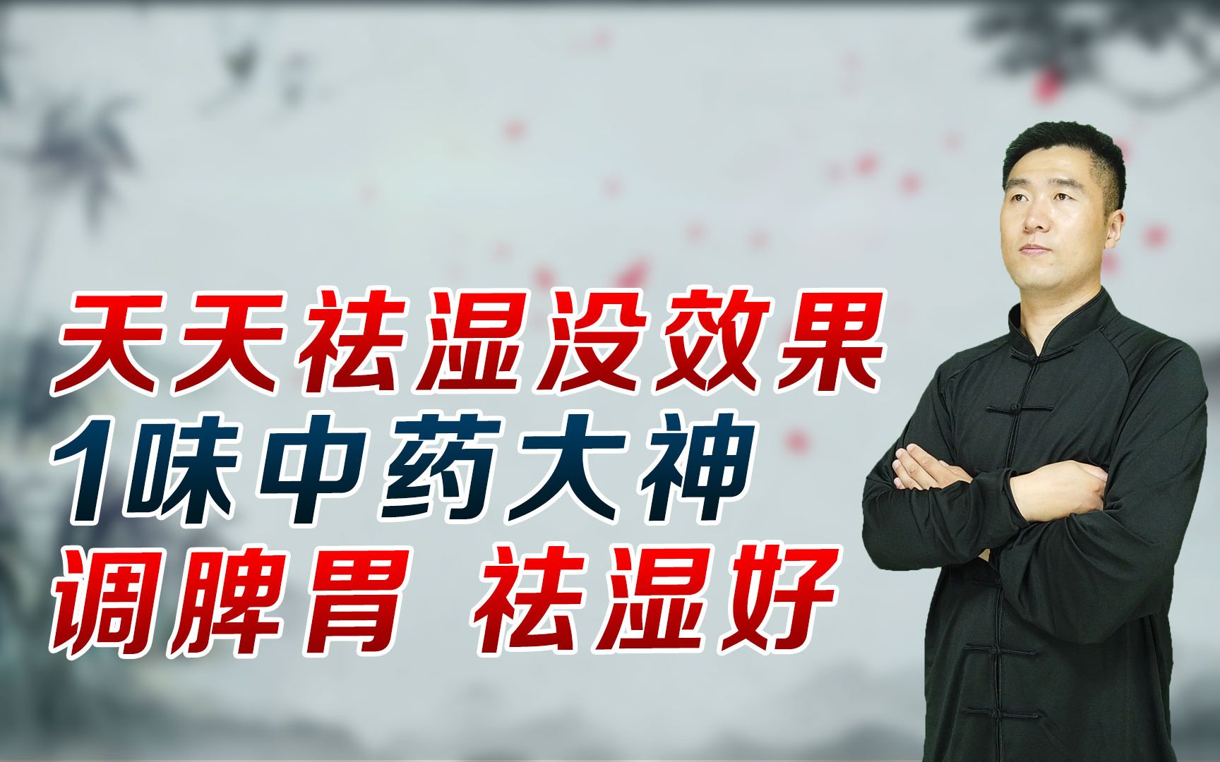 天天祛湿,湿气还是很重,1味中药大神,调中焦脾胃,运化水湿哔哩哔哩bilibili