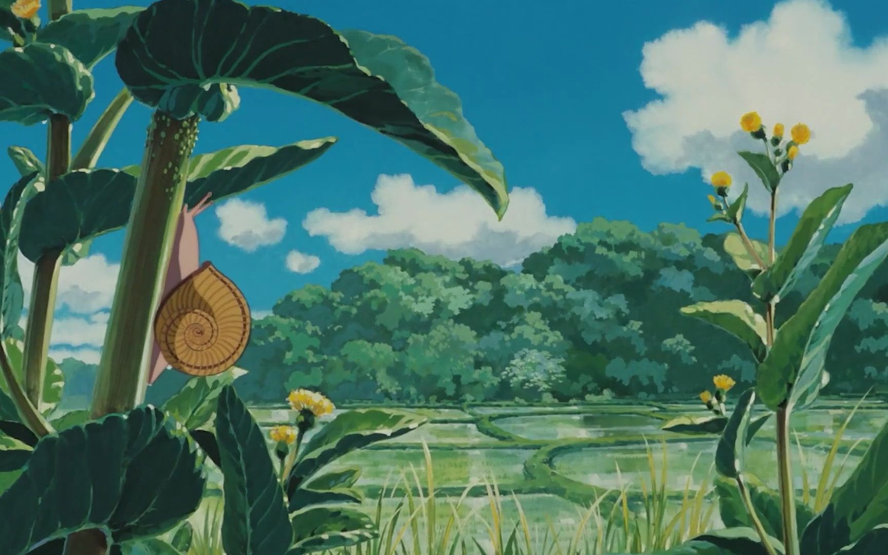 治愈的吉卜力动画