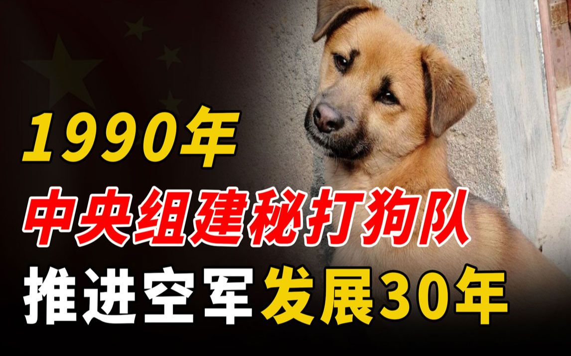 1990年中央组建打狗队,打掉18万只土狗制成大衣,推动空军三十年哔哩哔哩bilibili