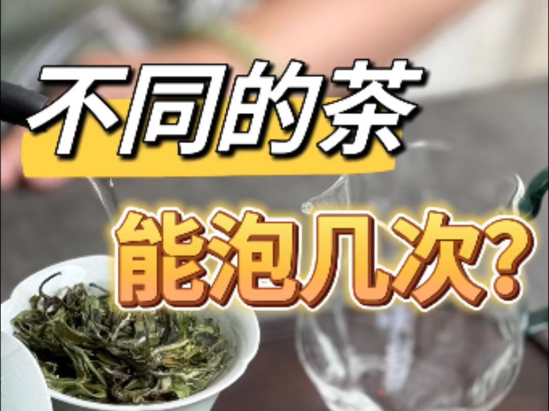 不同的茶能泡几次?绿茶、黄茶、白茶、红茶、岩茶,一次性说清楚哔哩哔哩bilibili