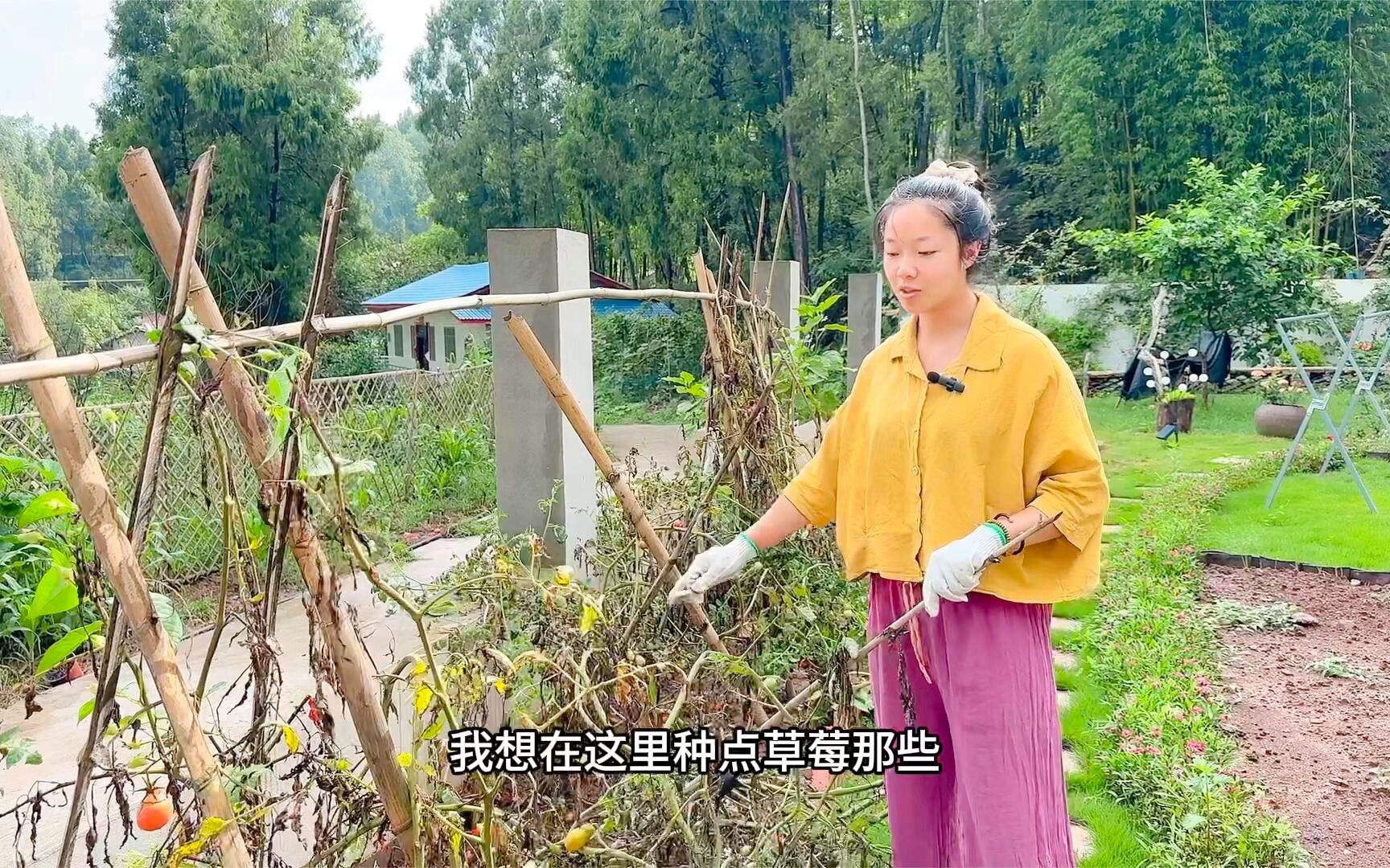 把院子里的菜地收拾好,准备多种些蔬菜,冬天就不愁吃的了哔哩哔哩bilibili