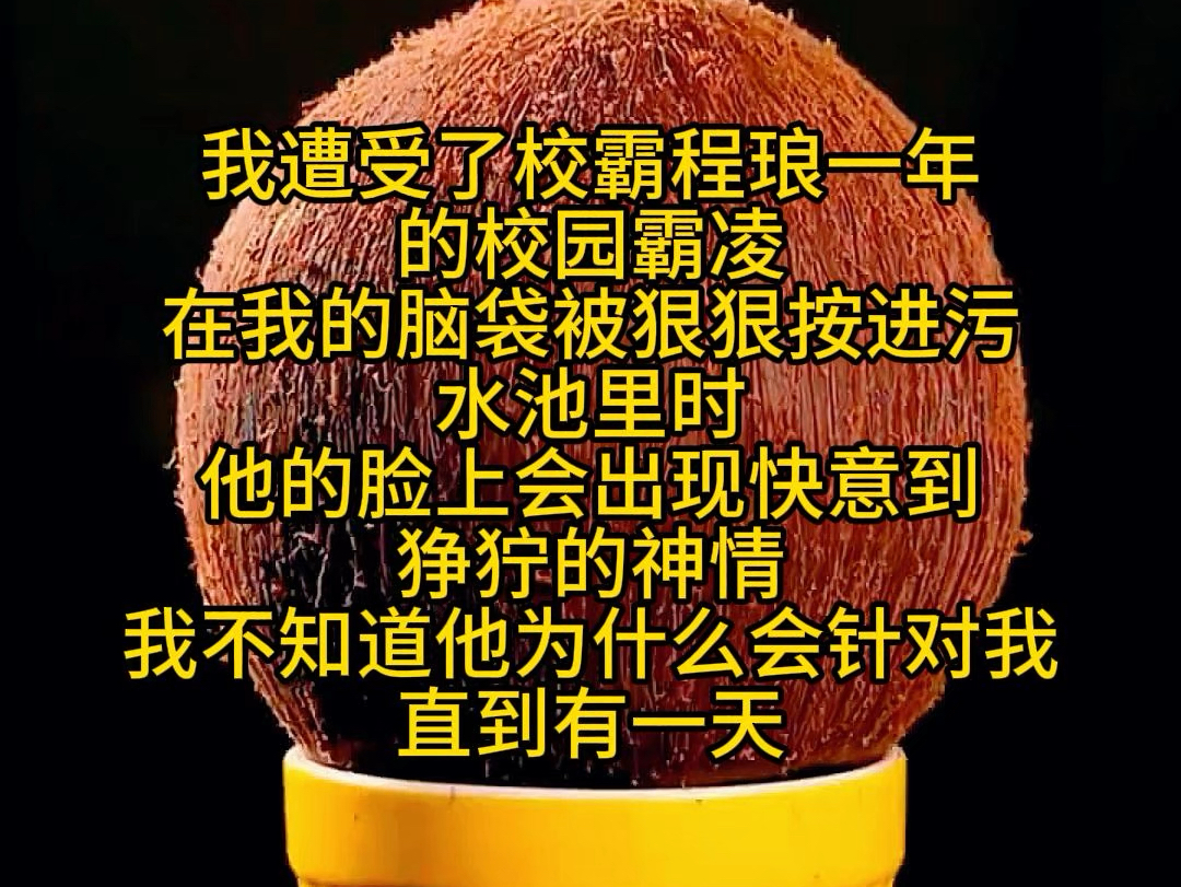 我遭受了校霸程琅一年的校园霸凌.在我的脑袋被狠狠按进污水池里时,他的脸上会出现快一到张宁的神情,我不知道他为什么会针对我,直到有一天哔哩...