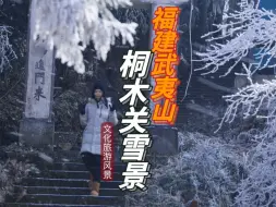 下载视频: 岁雪兆丰年，福建岁末初雪，福建与江西的交界武夷山桐木关雪景，祝大家新年好