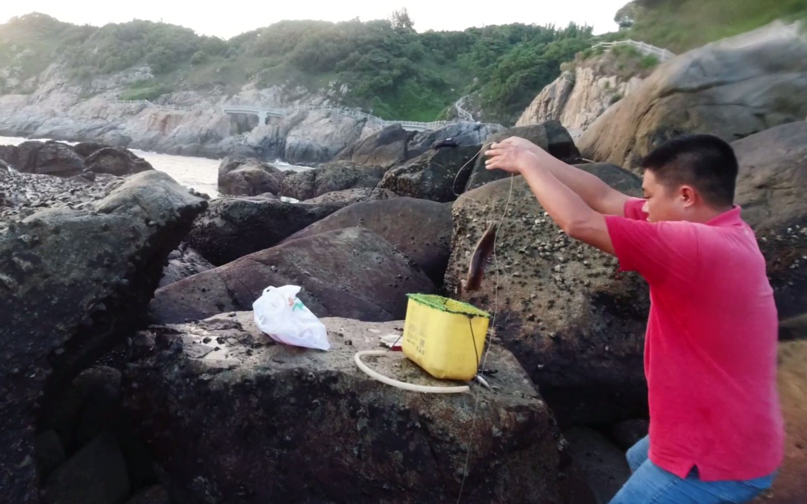 老旺赶海误入海鳗老巢,里面条条都有手臂粗,这回想不发财都难了