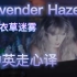【Lavender Haze—中英走心译】Taylor Swift—让他们闲言碎语，我只想与你被爱意缠绕