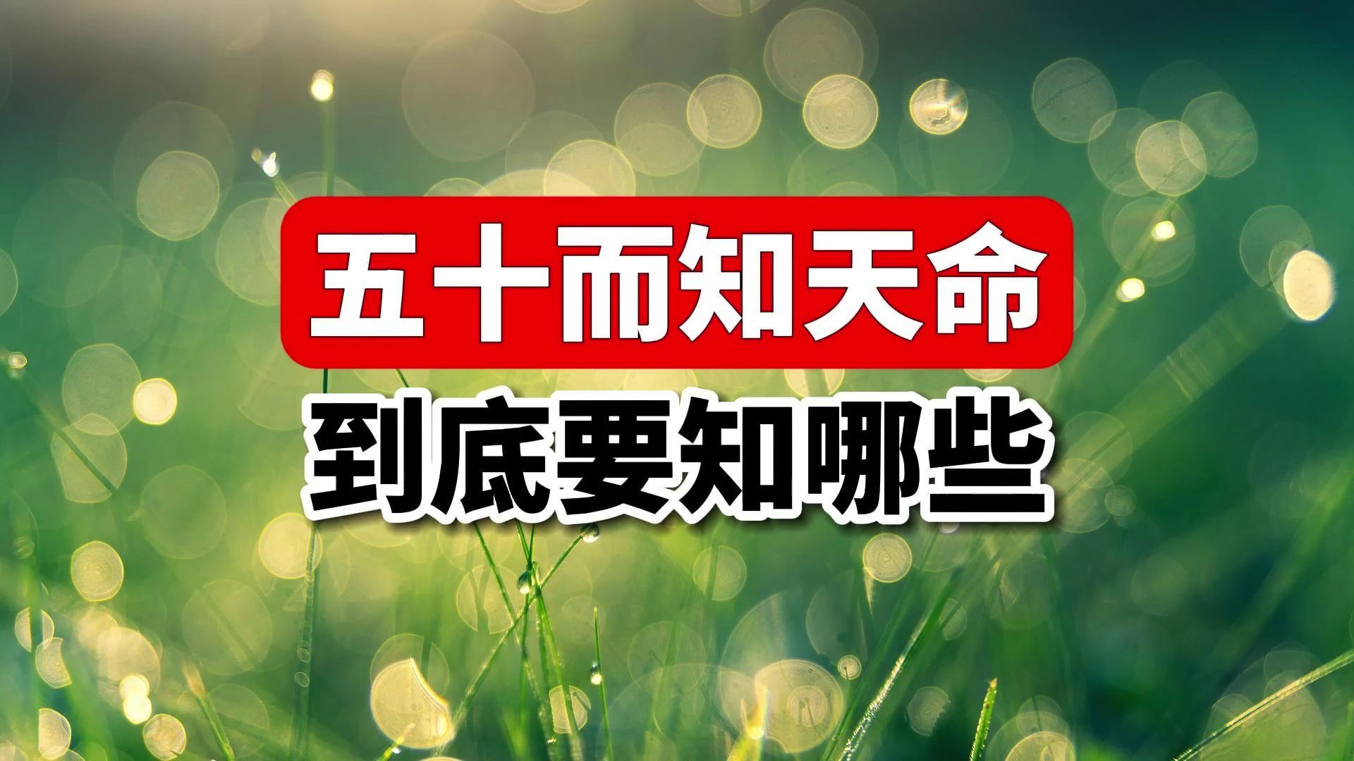 50知天命,到底要知哪些?4个大道理,让你的人生更豁达!哔哩哔哩bilibili