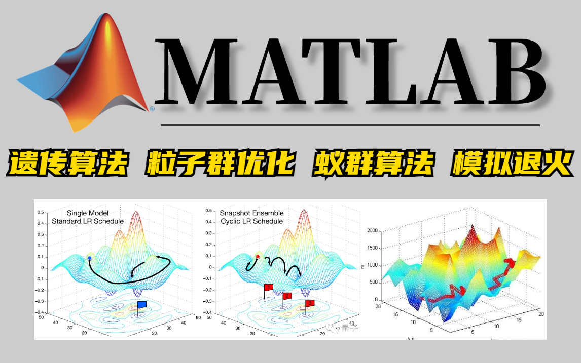 不愧是B站最全最详细的优化算法!蚁群算法+遗传算法+模拟退火+粒子群优化!(附带课程数据资料+代码源文件)MATLAB教程|MATLAB速成|图像处理哔...
