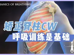 Tải video: 【体态矫正】矫正脊柱侧弯先要通过呼吸恢复肋骨的扩张和回缩能力